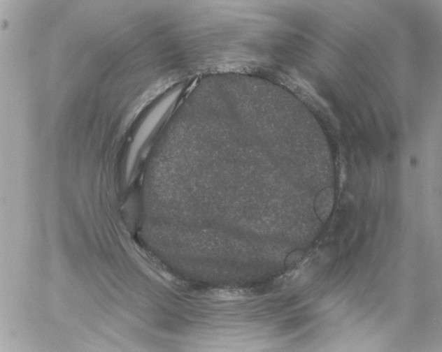 X0000061760250200512302311