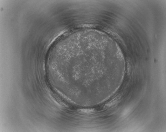 X0000061760251200512302311