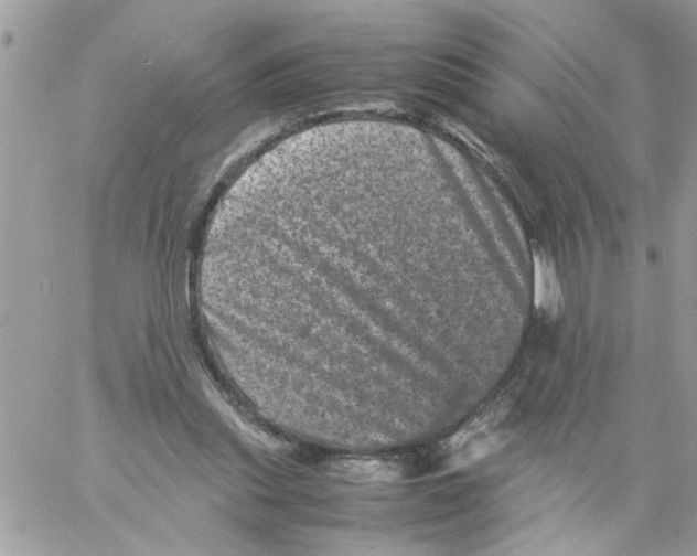 X0000061760253200512302311