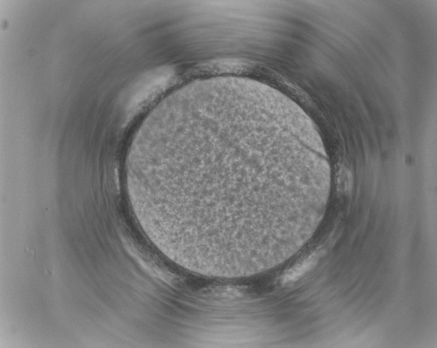 X0000061760254200512302311