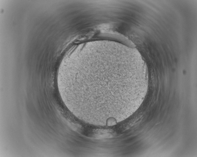 X0000061760255200512302311