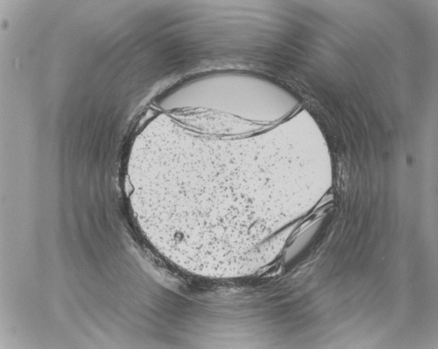 X0000061760256200512302311