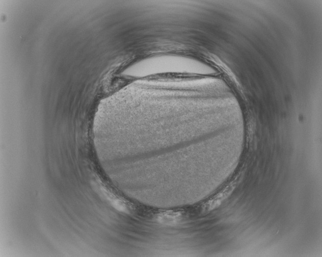 X0000061760257200512302311