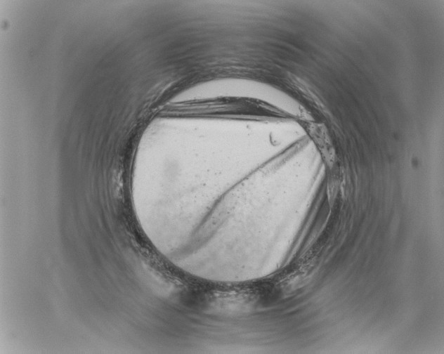 X0000061760259200512302311