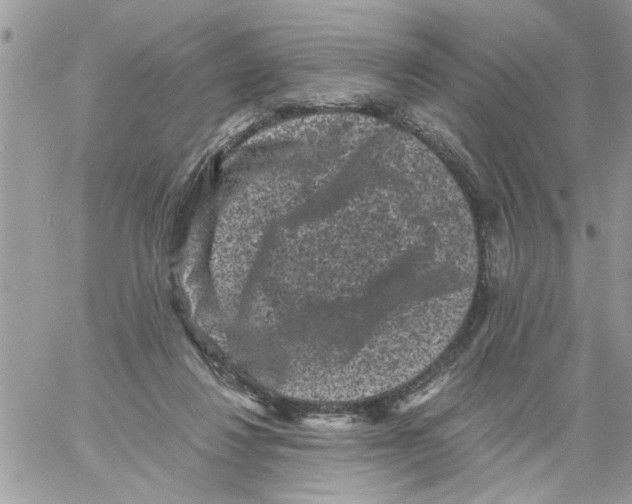 X0000061760260200512302311