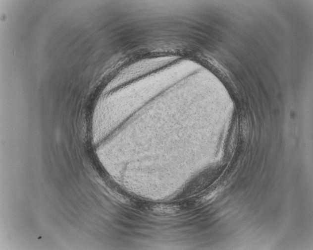 X0000061760261200512302311