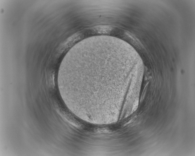 X0000061760262200512302311