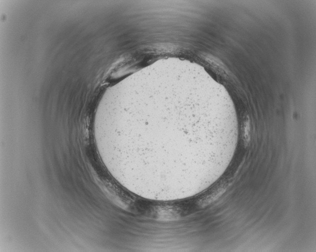 X0000061760264200512302311