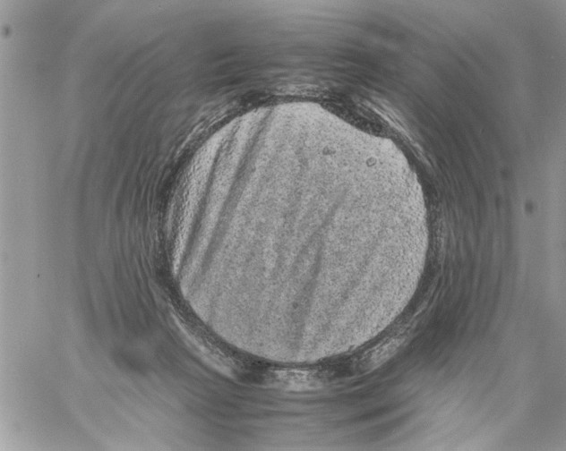 X0000061760265200512302311