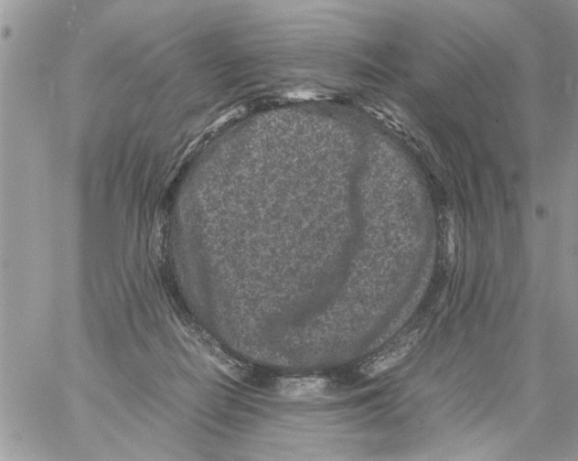 X0000061760266200512302311