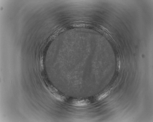 X0000061760267200512302311