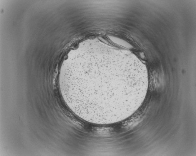 X0000061760268200512302311