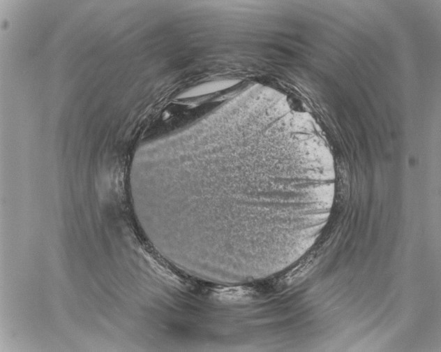 X0000061760269200512302311