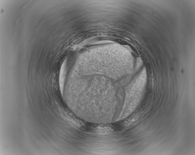 X0000061760270200512302311