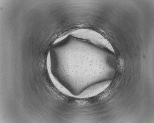 X0000061760272200512302311