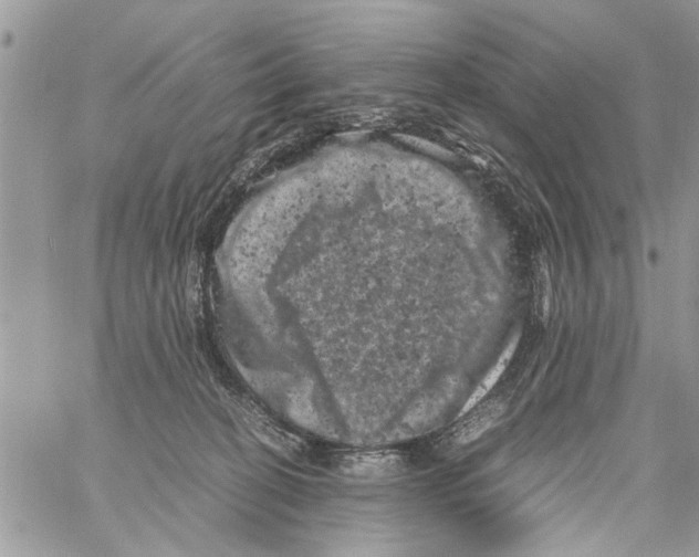 X0000061760274200512302311