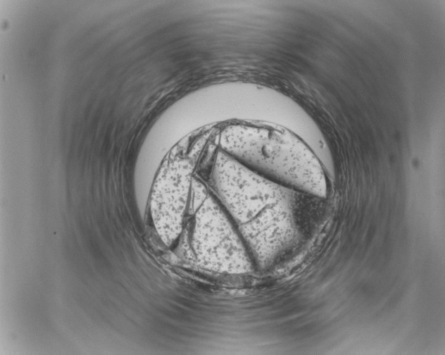 X0000061760276200512302311