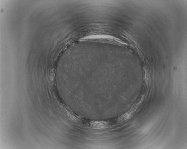 X0000061760277200512302311