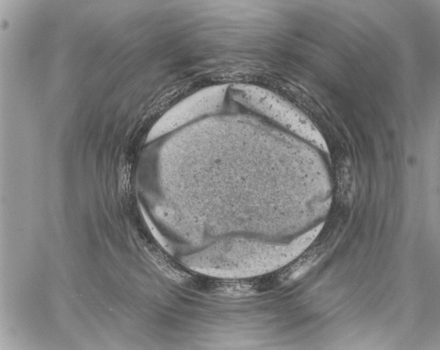 X0000061760278200512302311