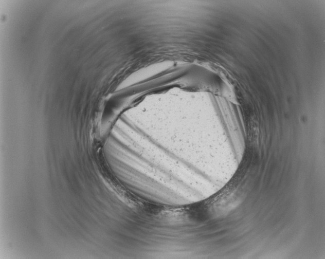 X0000061760280200512302311