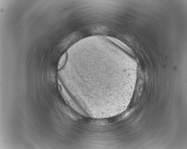 X0000061760282200512302311