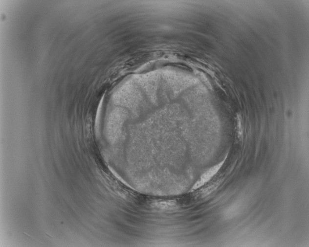 X0000061760283200512302311