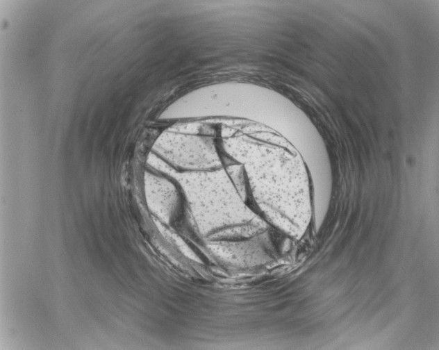 X0000061760284200512302311