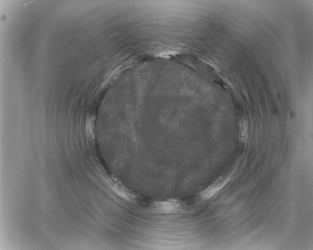 X0000061760286200512302311