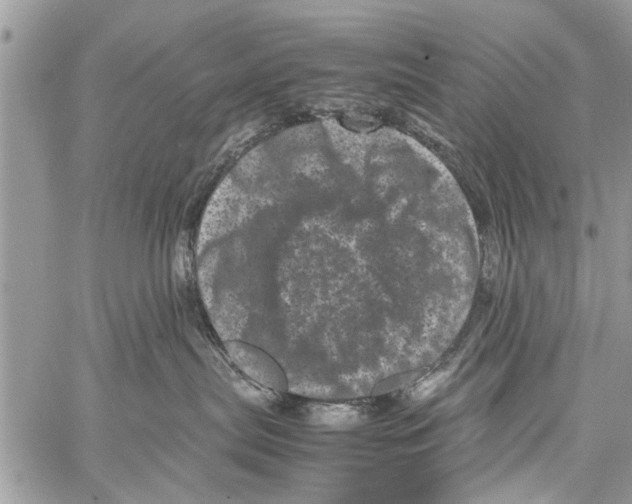 X0000061760287200512302311