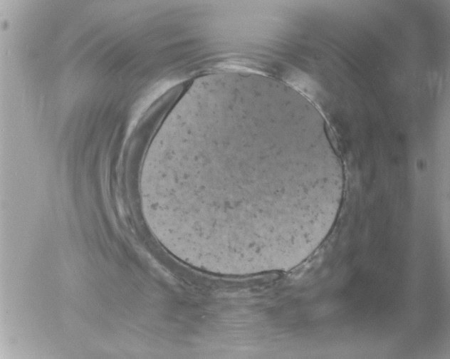 X0000061760289200512302311