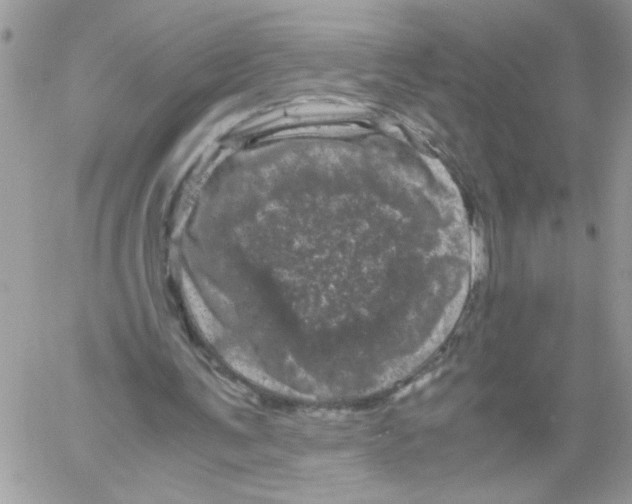 X0000061760291200512302311