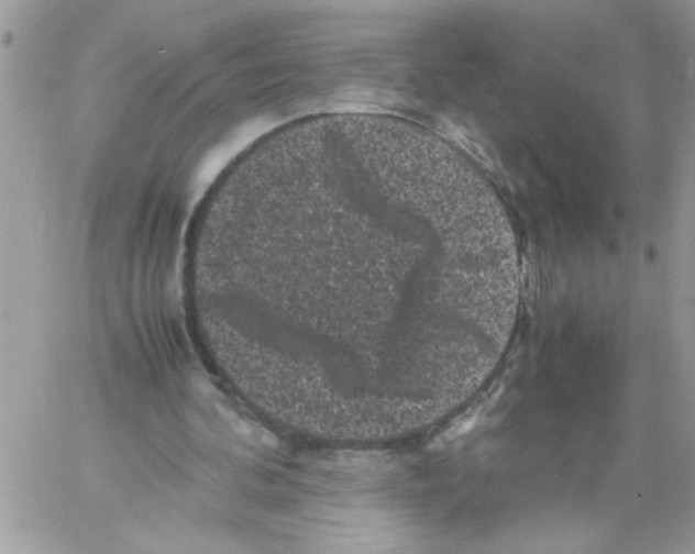 X0000061760292200512302311