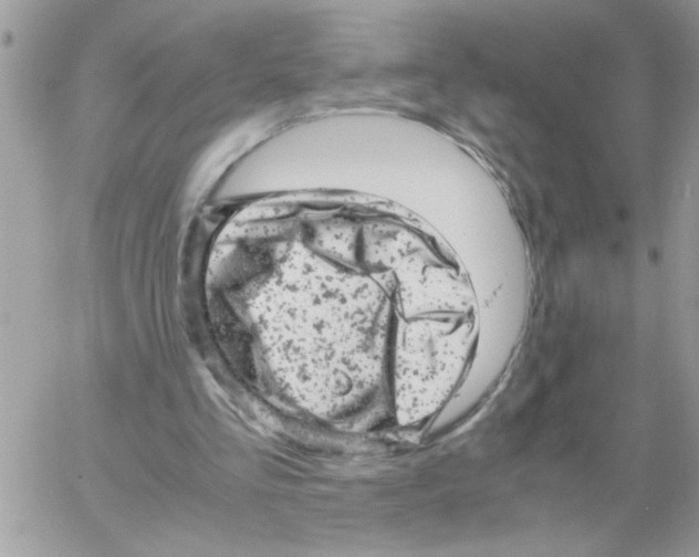 X0000061760293200512302311