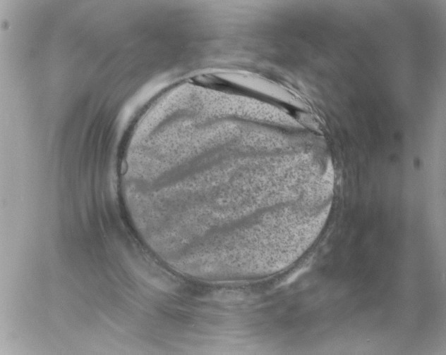 X0000061760294200512302311