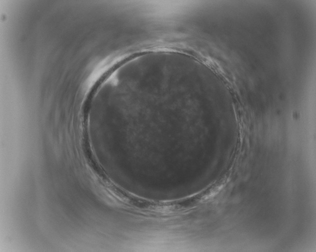 X0000061760295200512302310