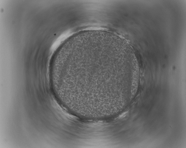 X0000061760296200512302310