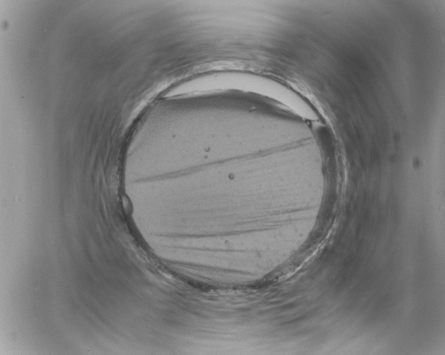 X0000061760297200512302310