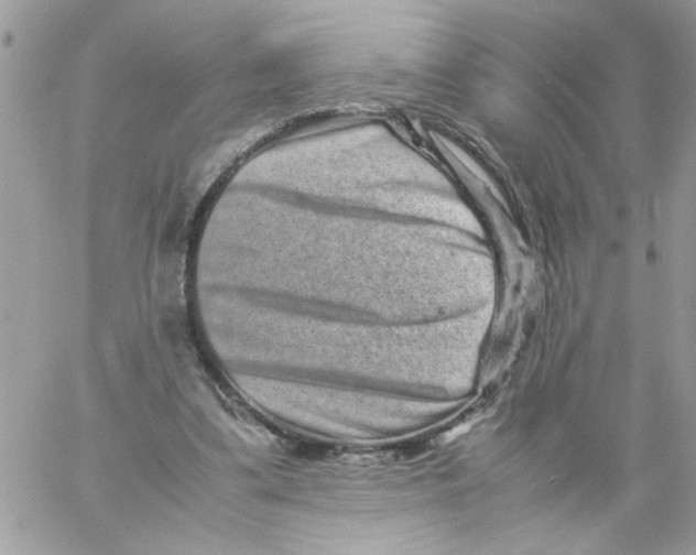 X0000061760299200512302310