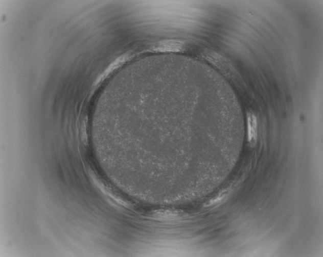 X0000061760300200512302310