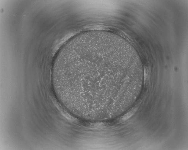 X0000061760301200512302310