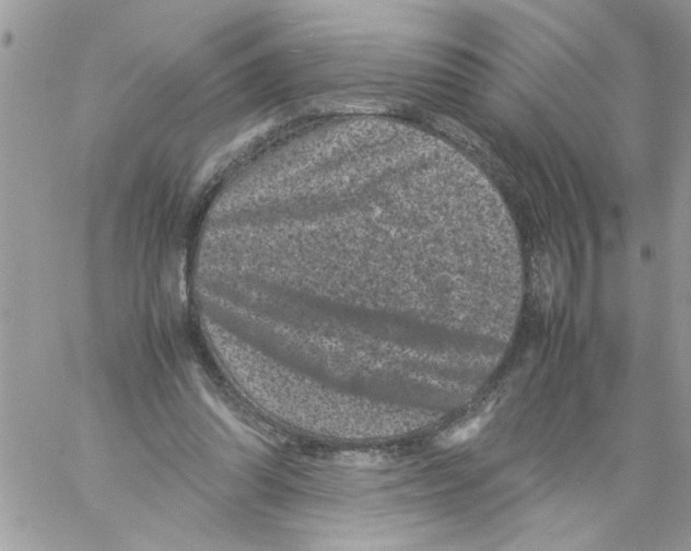 X0000061760302200512302310