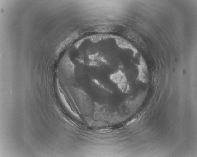 X0000061760303200512302310