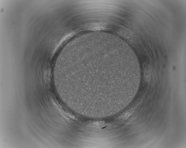 X0000061760304200512302310