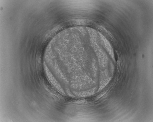 X0000061760306200512302310