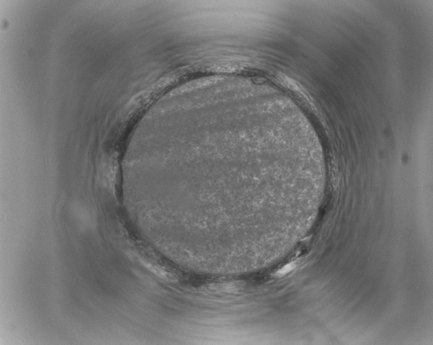 X0000061760307200512302310