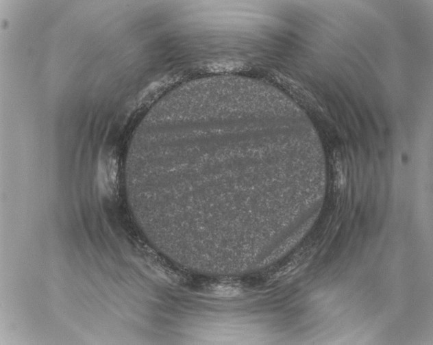 X0000061760308200512302310