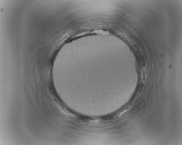 X0000061760309200512302310