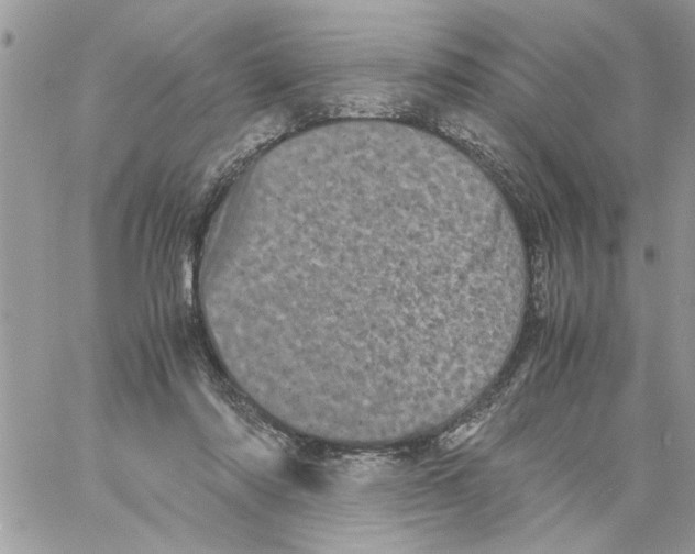 X0000061760310200512302310