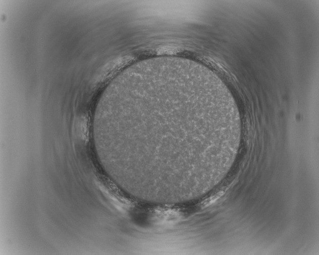 X0000061760311200512302310