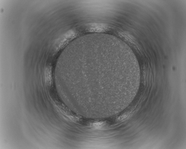 X0000061760312200512302310